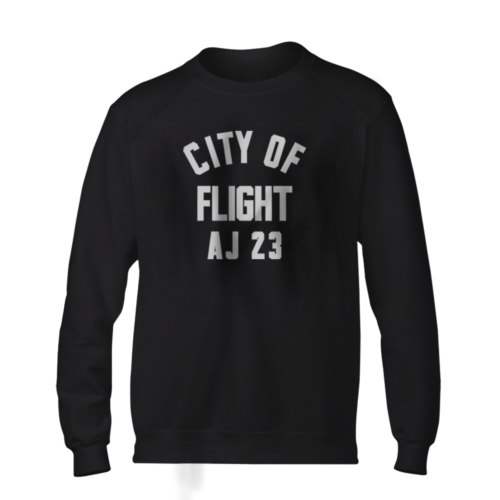 City Of Flight Basic